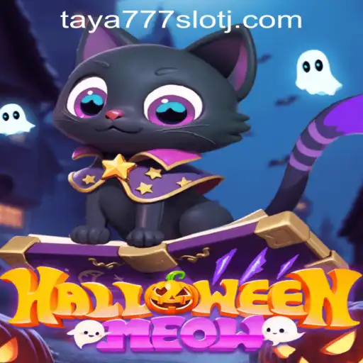 Explore HalloweenMeow: A Spooky Slot Adventure